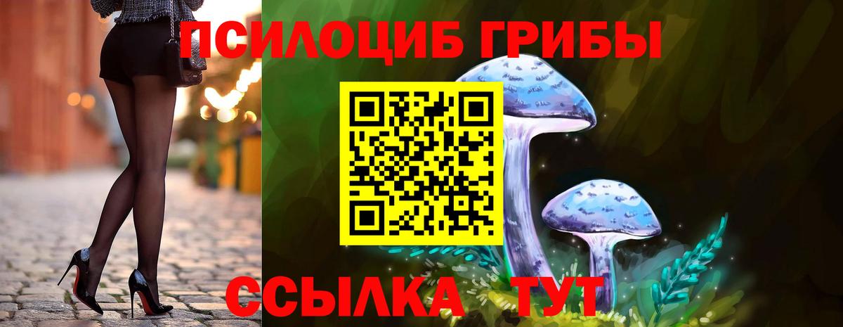 Галлюциногенные грибы Cubensis Добрянка